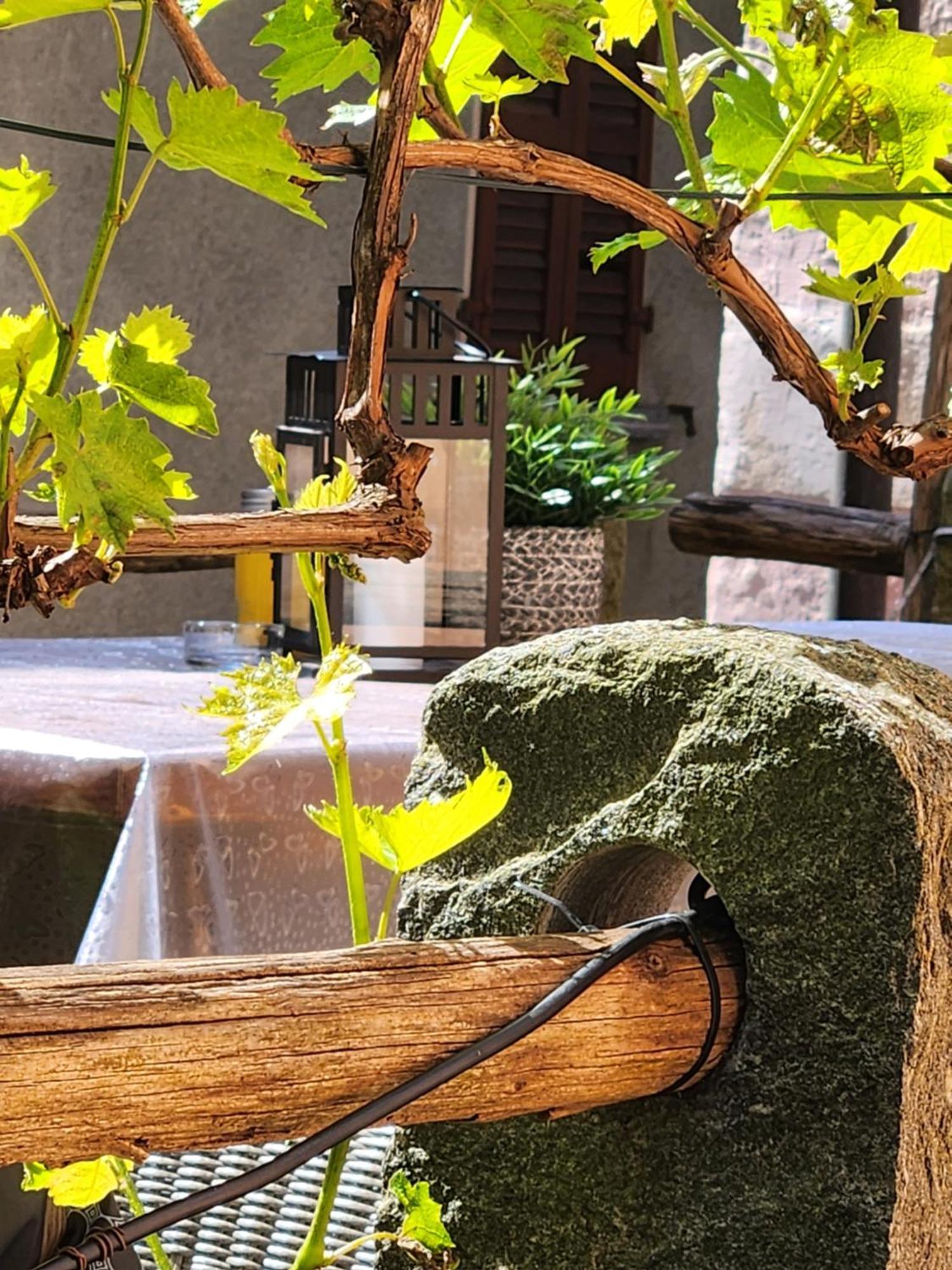 B&B Osteria Morganti Someo Εξωτερικό φωτογραφία